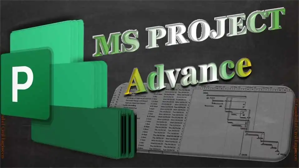 MS Project Advance