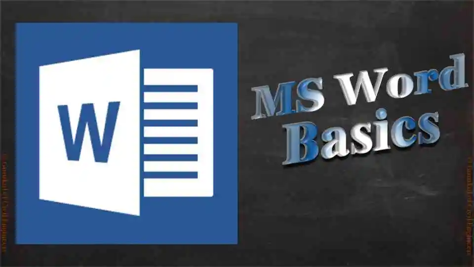 MS Word Basics