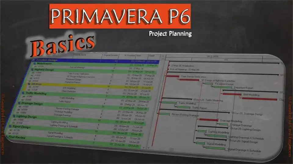 PRIMAVERA P6 Basics   