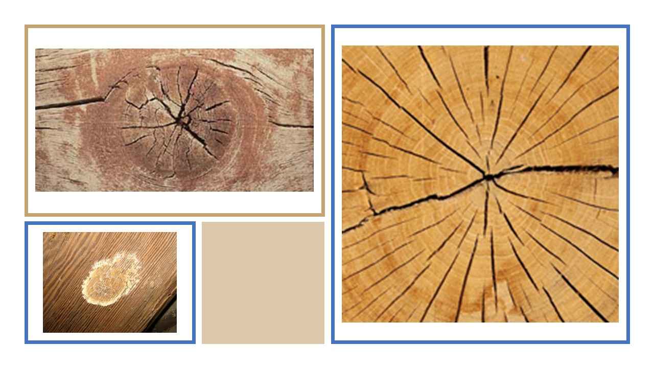 Different Types of Defects in Timber