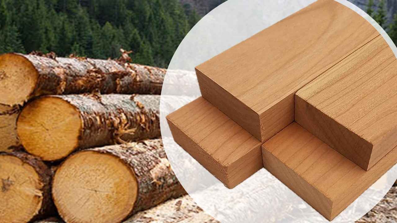 Importance of Timber in Civil Engineering